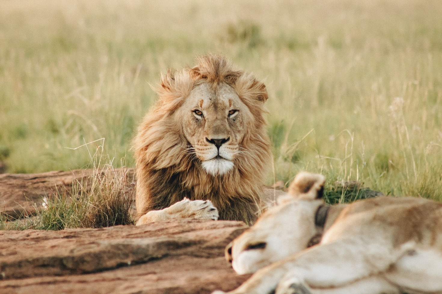 Top Must See Attractions In Nairobi
