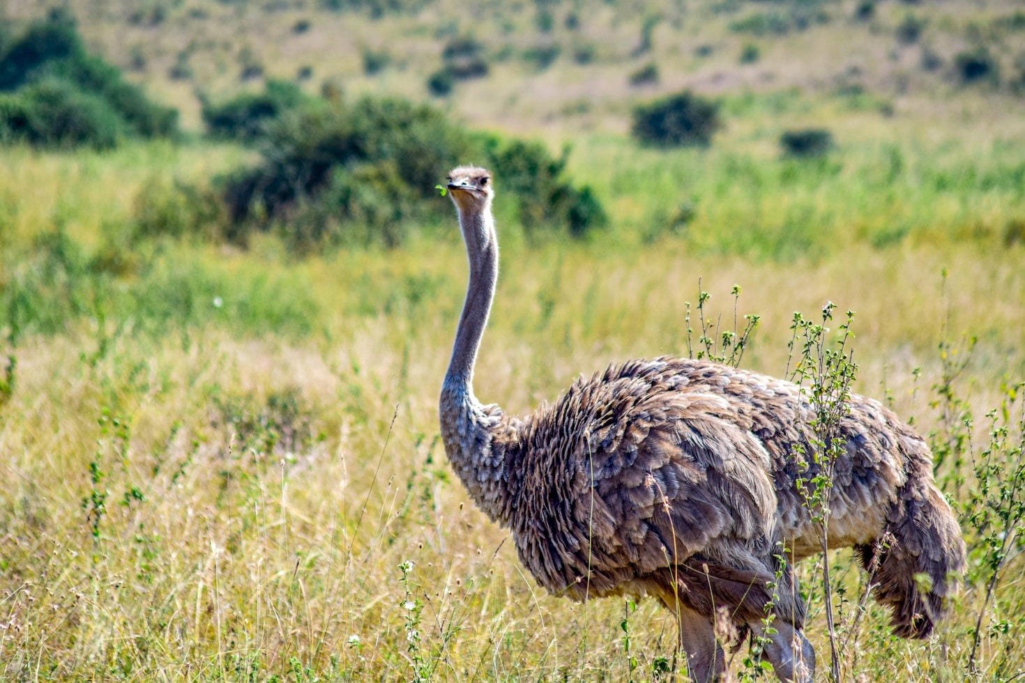 The Ultimate Guide To Food Safaris