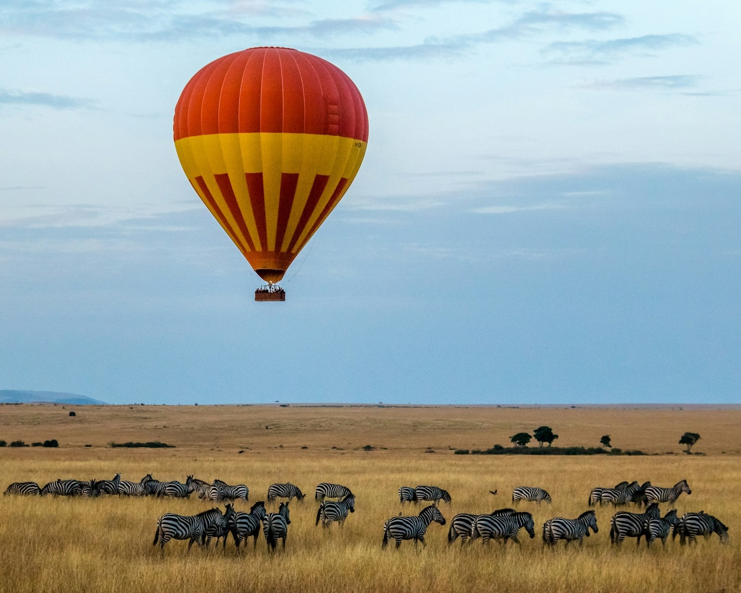 A Day At The Sheldrick Trust
