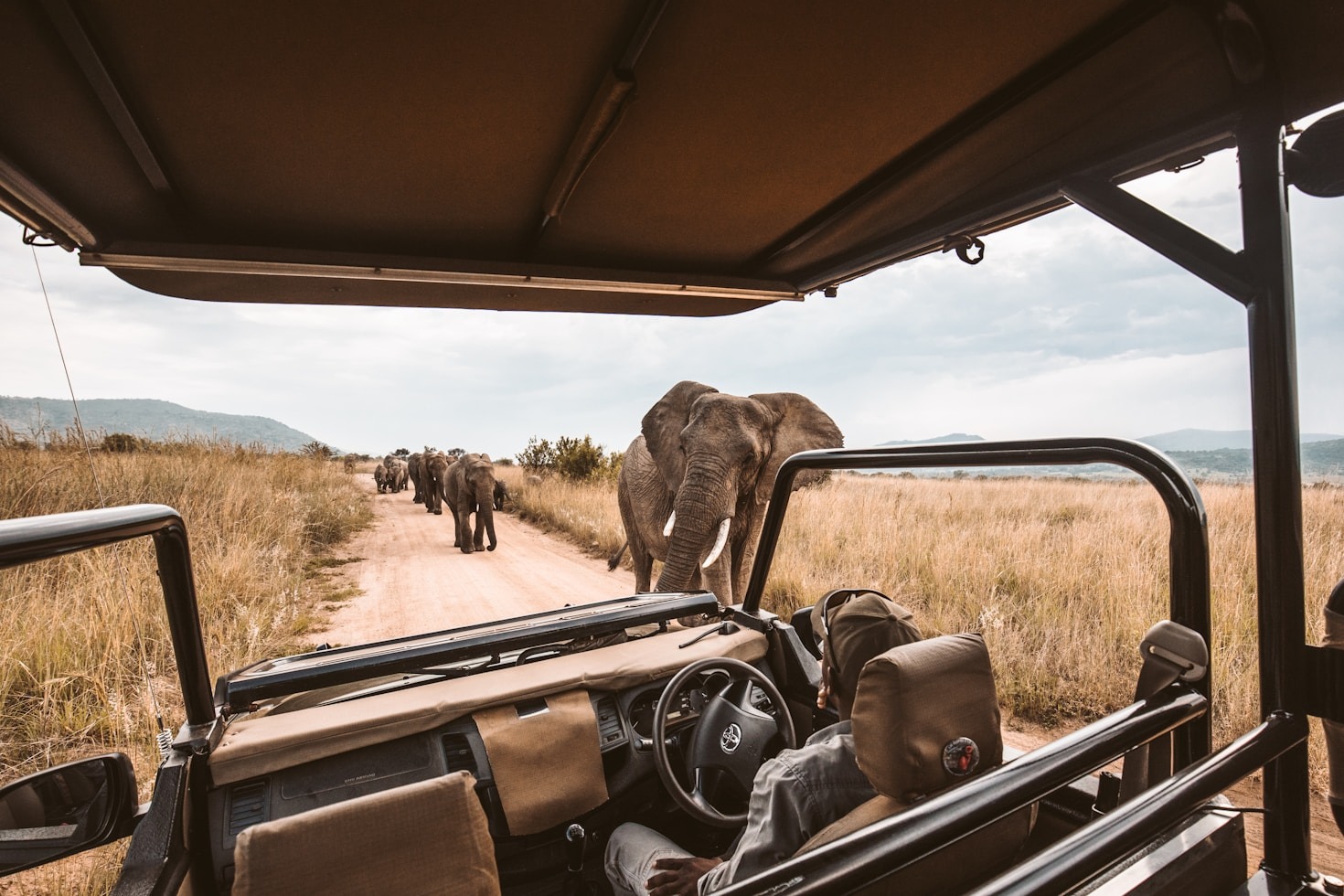 Cultural Immersion Through Nairobi City Streets