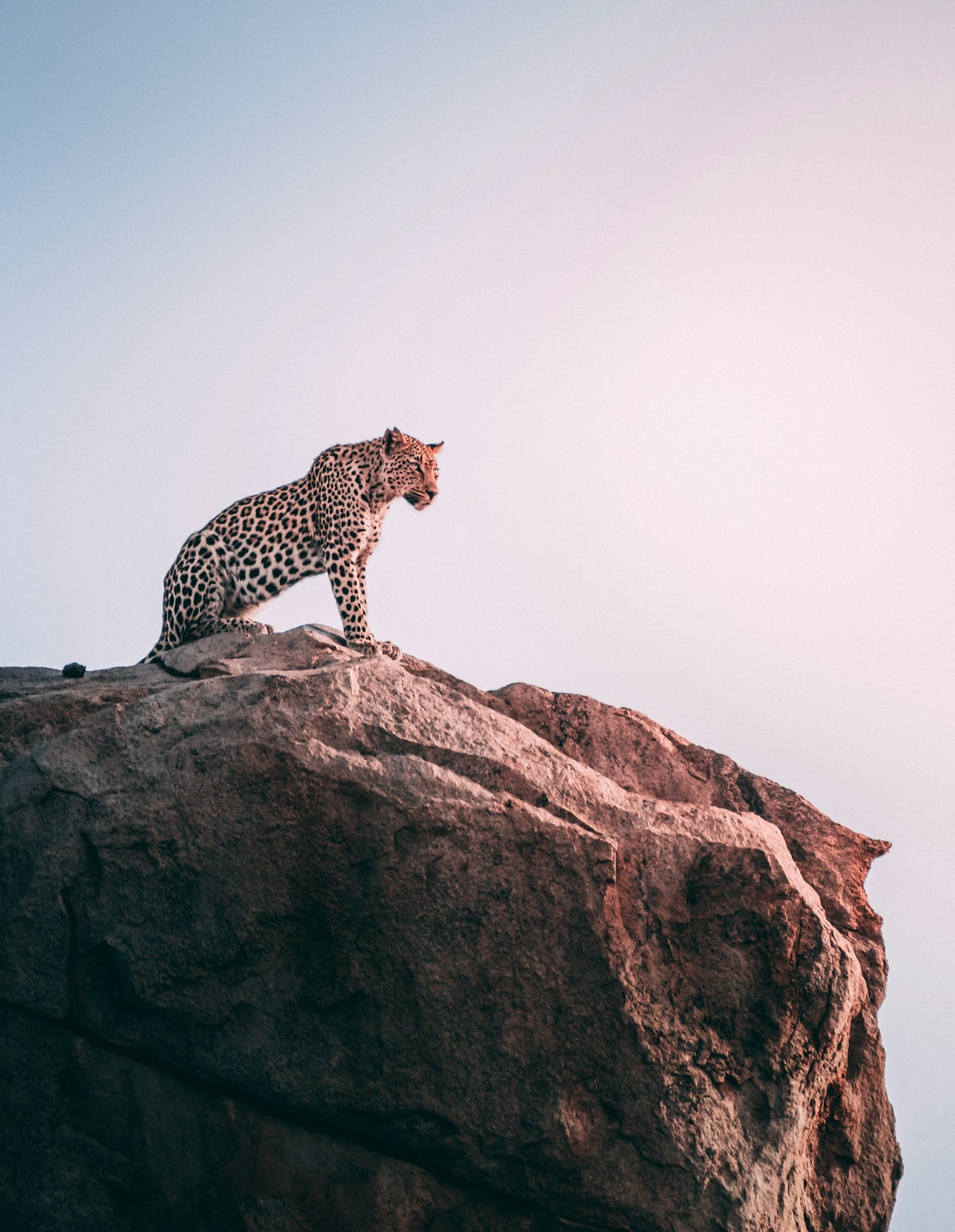 Planning Your Perfect Kenyan Wildlife Adventure